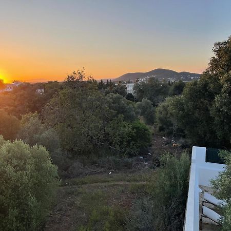 Monte Geracoes - Heated Pool - Typical Algarvian - Close To Quinta Lago, Vale Lobo And Vilamoura Алмансил Экстерьер фото