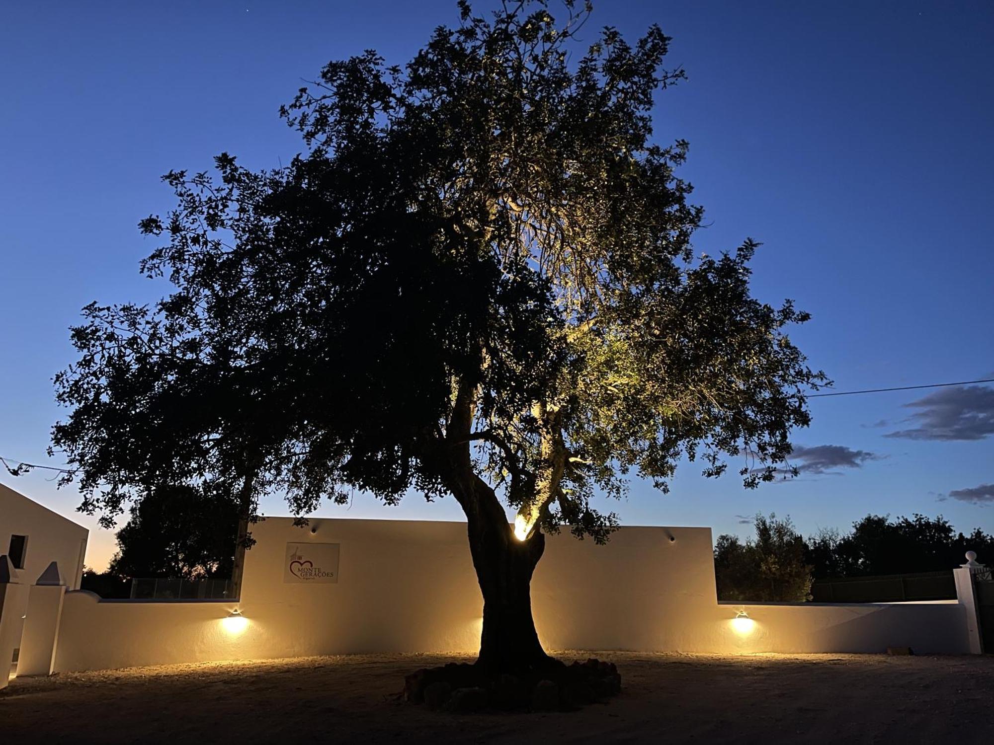 Monte Geracoes - Heated Pool - Typical Algarvian - Close To Quinta Lago, Vale Lobo And Vilamoura Алмансил Экстерьер фото